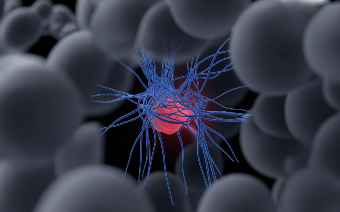 Représentation en 3D de cellules, avec une structure rouge au centre entourée de filaments bleus. Fond flou en noir et gris.