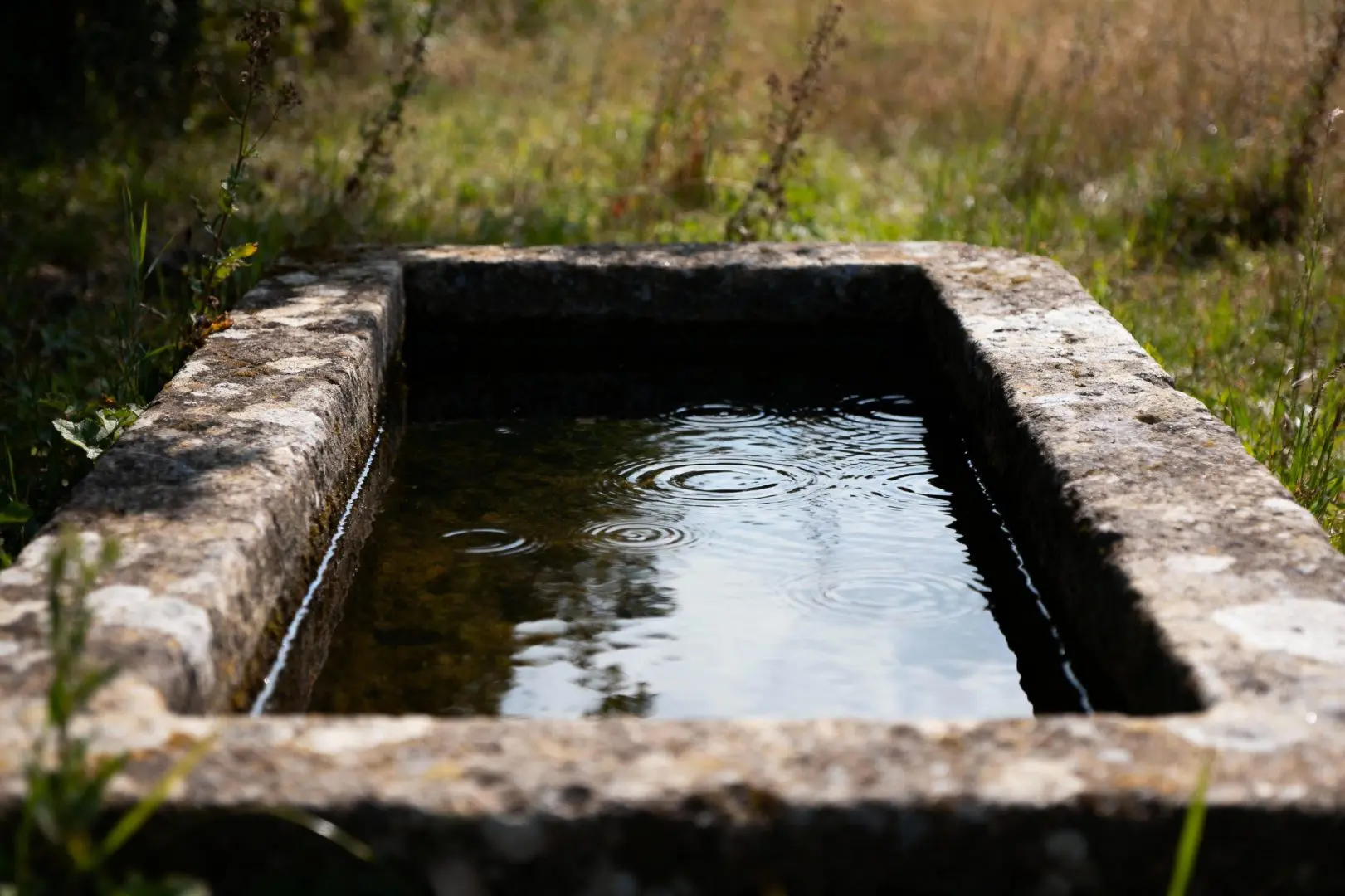 bassin déplacé
