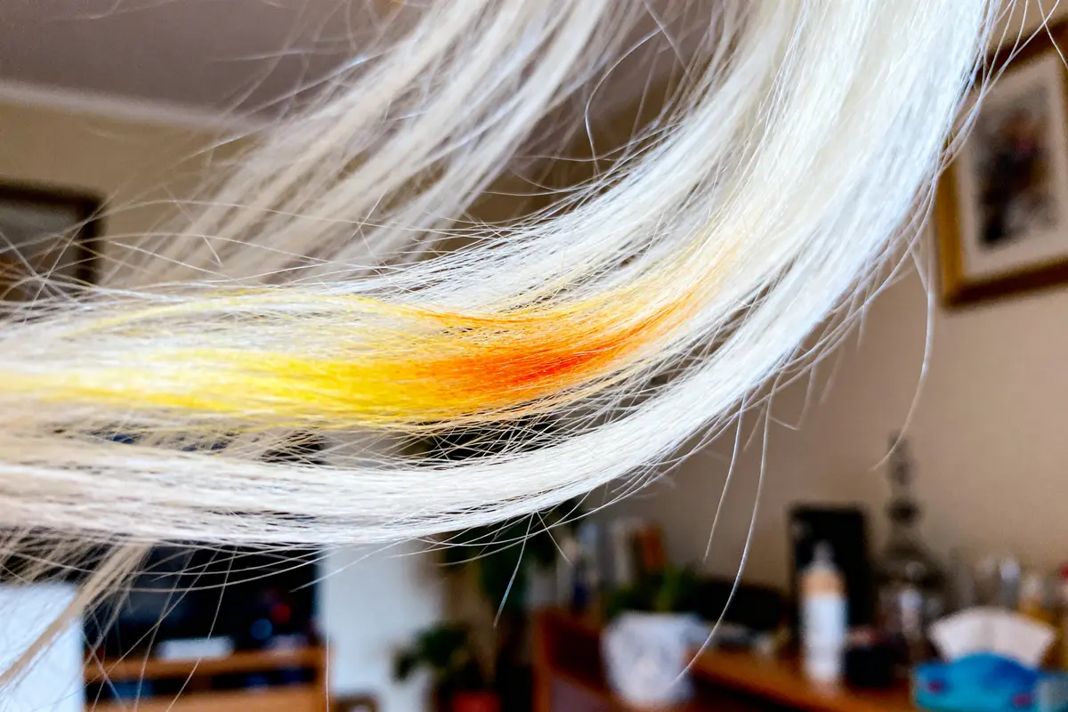 Cheveux blancs colorés en jaune et orange, montrant l'effet de la Bétadine sur eux