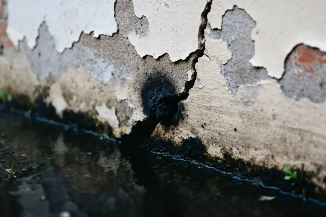 Mur endommagé avec signes de moisissure, fissures et apparition de vers noirs d'humidité